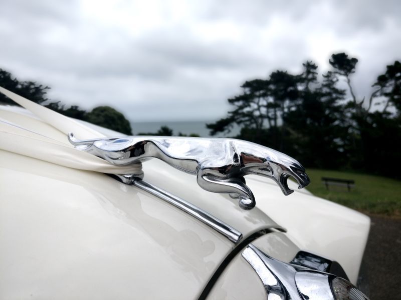 1967 S-Type Jaguar Leaping Jag